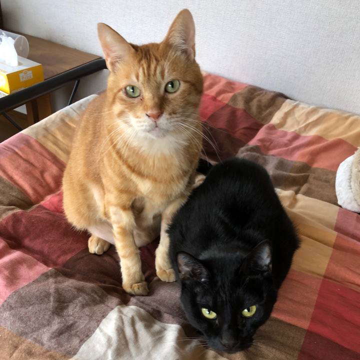 875c60f5 af64 4ff0 870d 20243e7a5aee 1667003833897