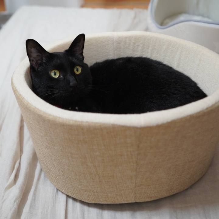 875c7cf0 11b2 4c05 93b3 f55303030ebc 1595255383655