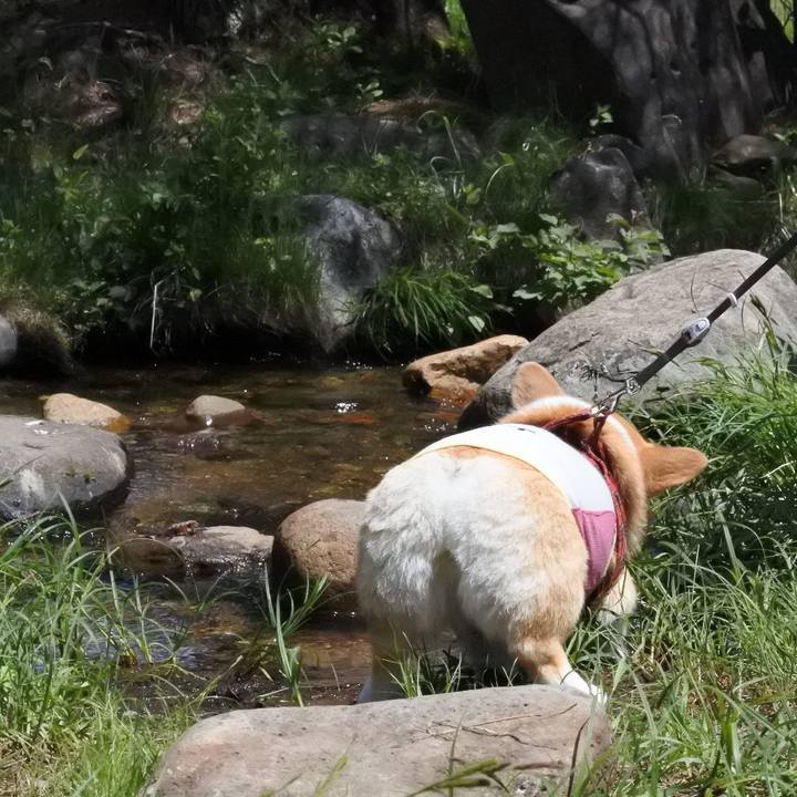 875ca40b bee8 478f b1f7 60d97fd7680c 1558959031078