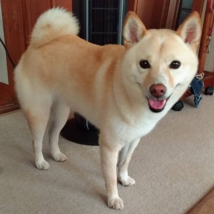 875cc870 1f94 49f5 b636 5a23b8709573 1565647743260