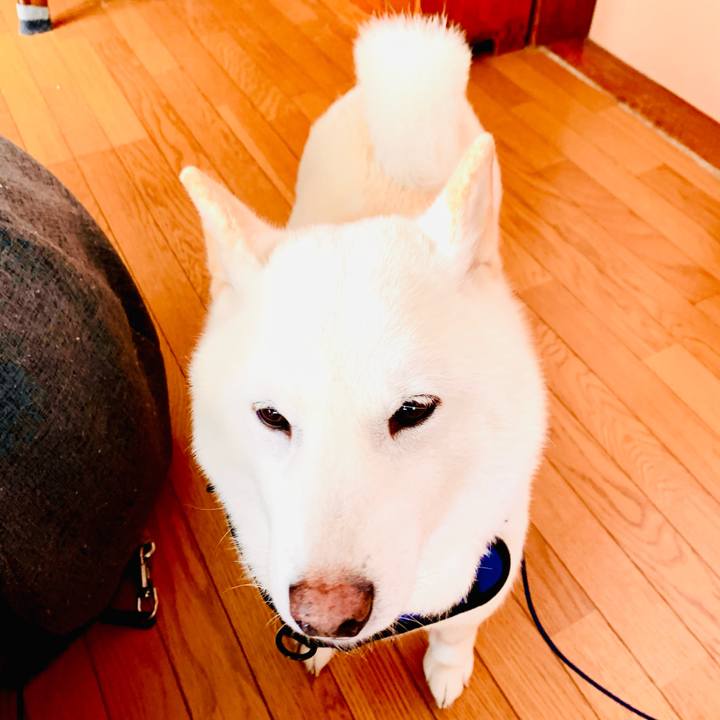 875cd46e 216b 4684 a91a f29c1b5b5d42 1647406159952