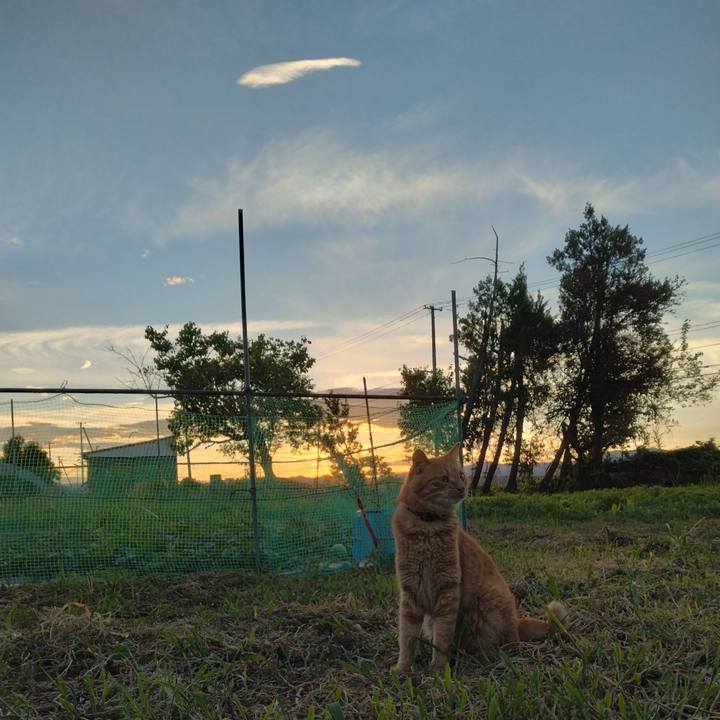 875cfb01 9730 473d 81ad f4dbcd03c98e 1691575884018