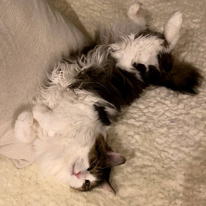 875d685c 80e5 4d7f 841b 87561240b060 1665612222156