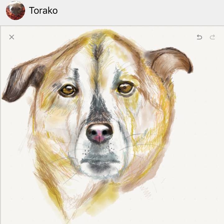 875d6d7f 58b1 46b4 88cc 0e139f97176b 1568110074175