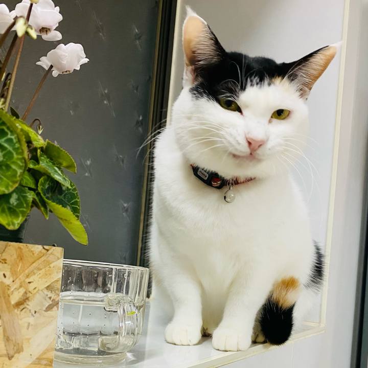 875d8d84 a7ff 4237 83d6 19c568285ca3 1671191225576