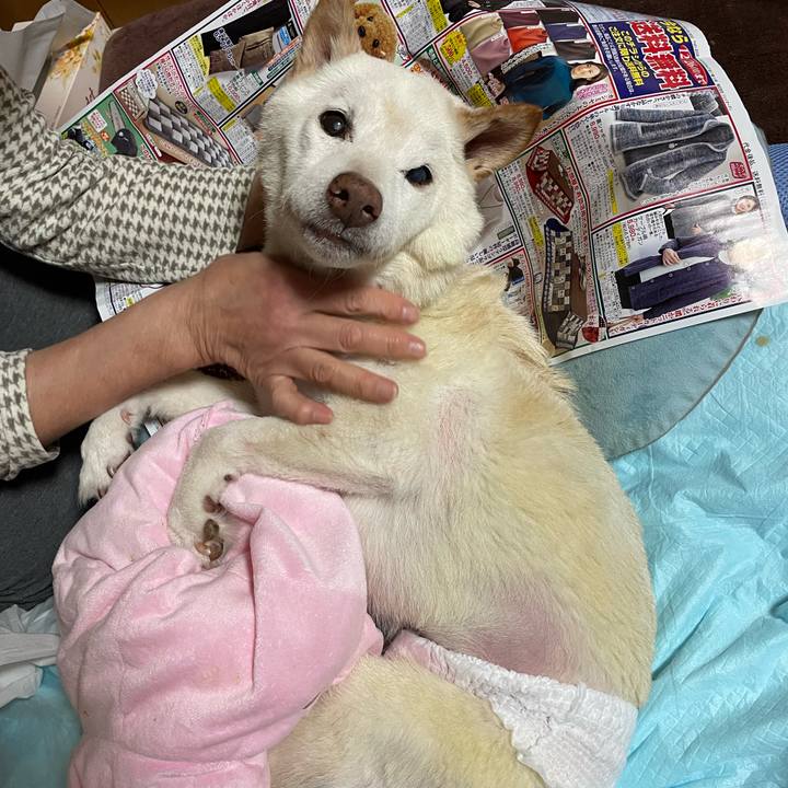 875da78d dc06 403b a1f9 a5e39efae479 1670222766416