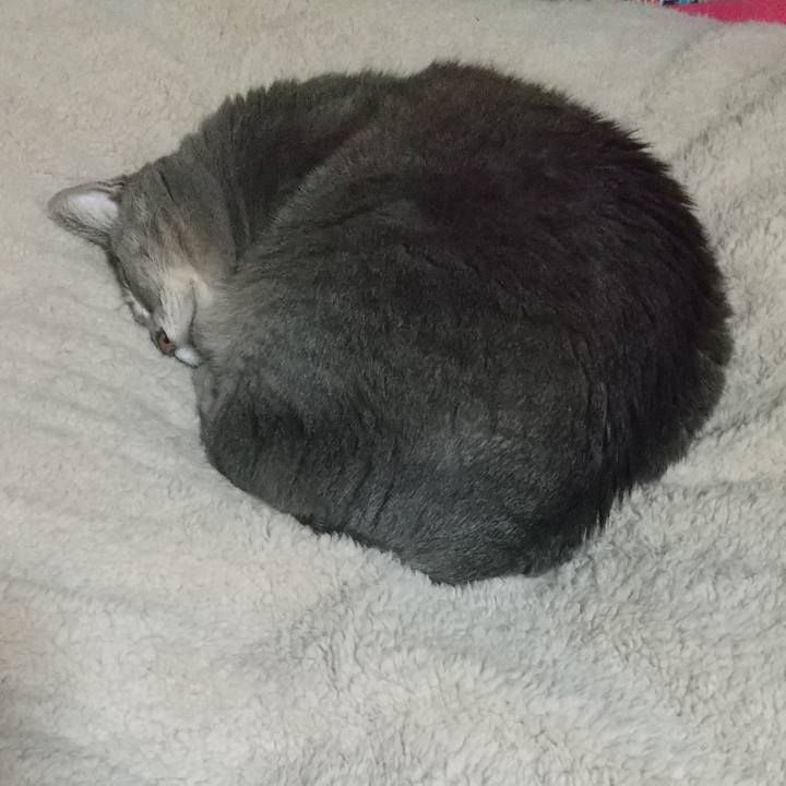 875da8d2 fa96 4422 8da7 95350bac8e79 1641229571777