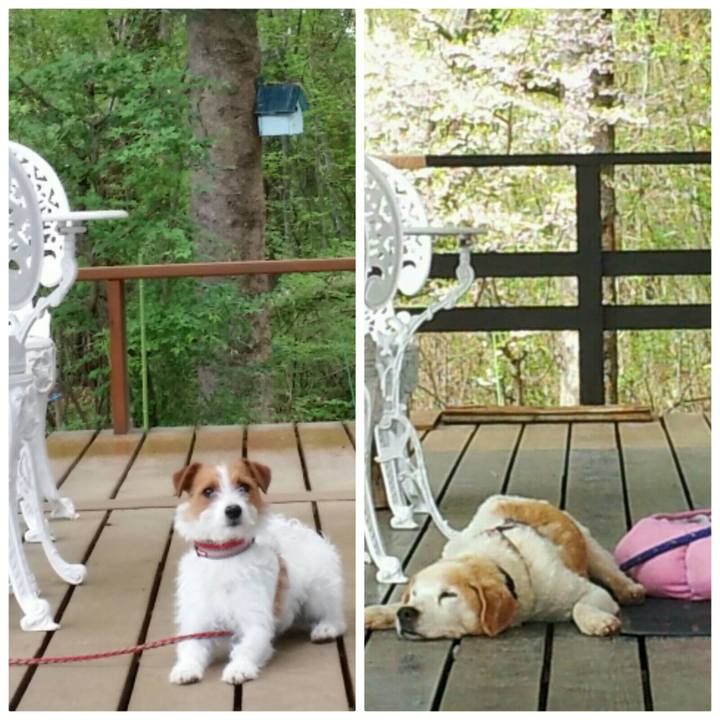 875db69f d402 4277 be4e d444ab6e0528 1525235217705