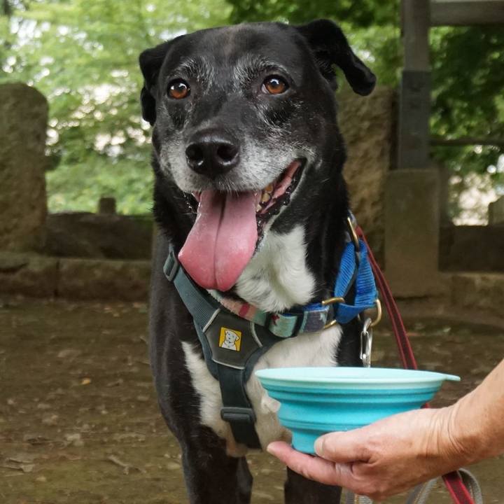 875dc128 ea27 4d56 aac7 57b1ccc681cf 1754956851484