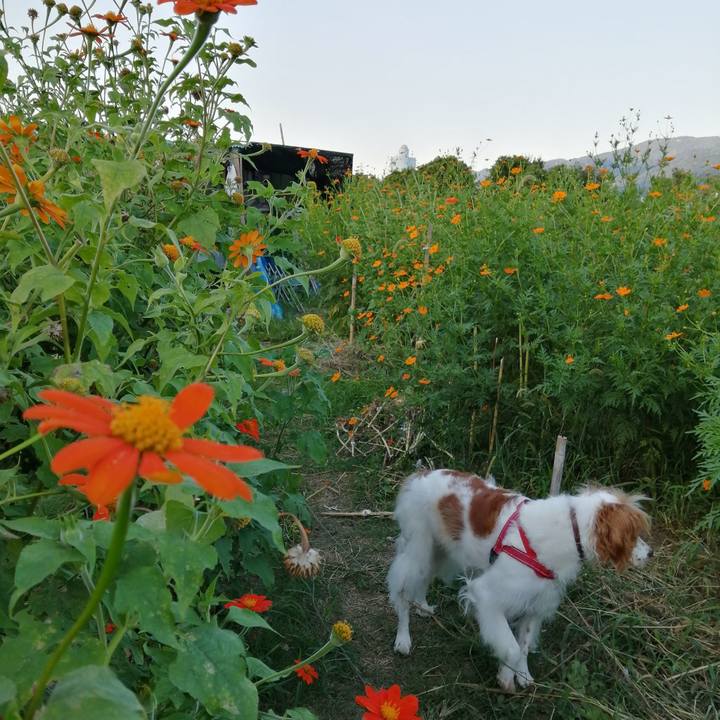 875dc826 6e0e 4f4e 8268 c3d0d1af8426 1568547748984