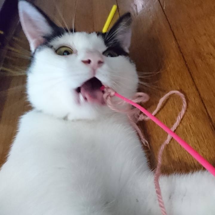 875e00c8 c3e0 4175 8226 7f7f4918d2a5 1590842820583