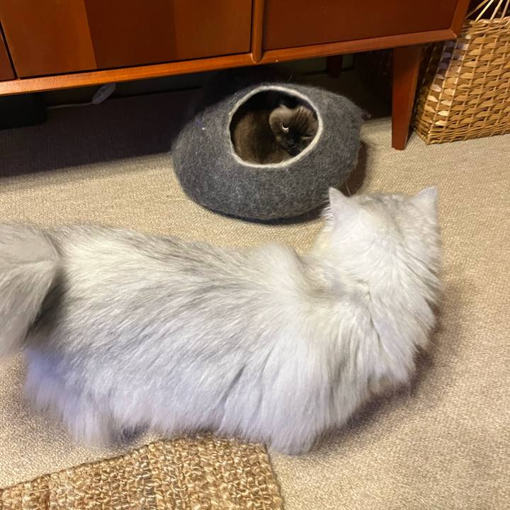 875e2321 8c8b 4963 af62 7455f66d9f2c 1634997117384