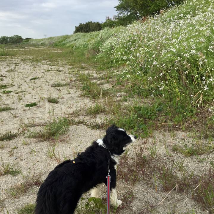 875e2f9c fe83 4ffd 9d1b 37a06467145c 1587597922768