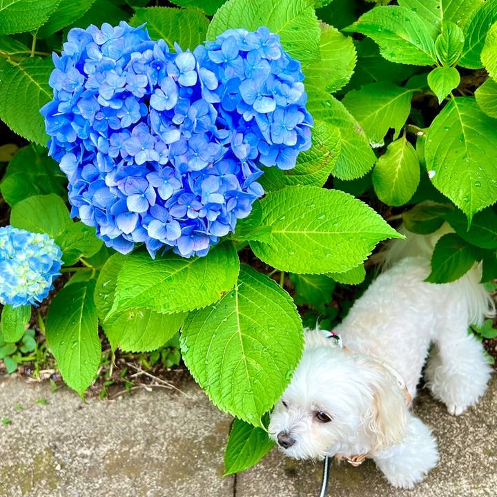 875e5ff2 2c7f 47e6 a6e1 b3ad8205ffc1 1685499523114