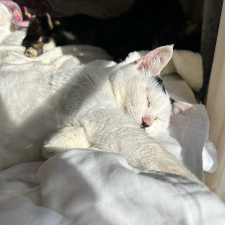 875e62e5 07d6 4935 8a2e 46534b14030e 1768880808585