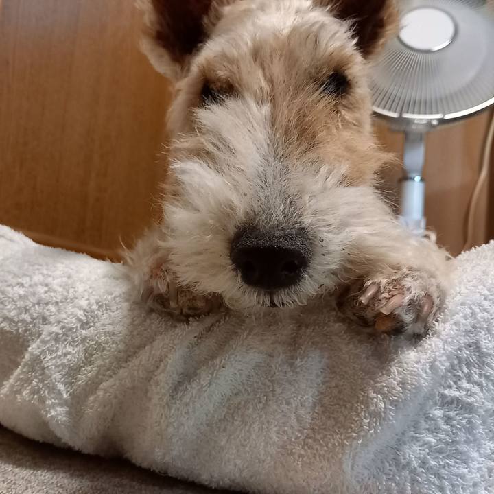 875e9b6e d924 4f25 9d05 eb2392c80e53 1654524040546