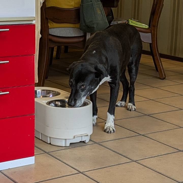 875ea49d fc64 4ec2 b987 6c666052c2fb 1773716505735