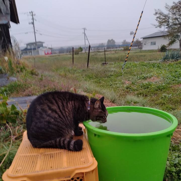 875ebcc2 5904 4e37 95cc 2b42ecc312d2 1697753305967