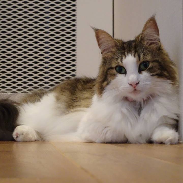 875ed4de e378 4095 8f1b 36ded4972ecc 1535021048378