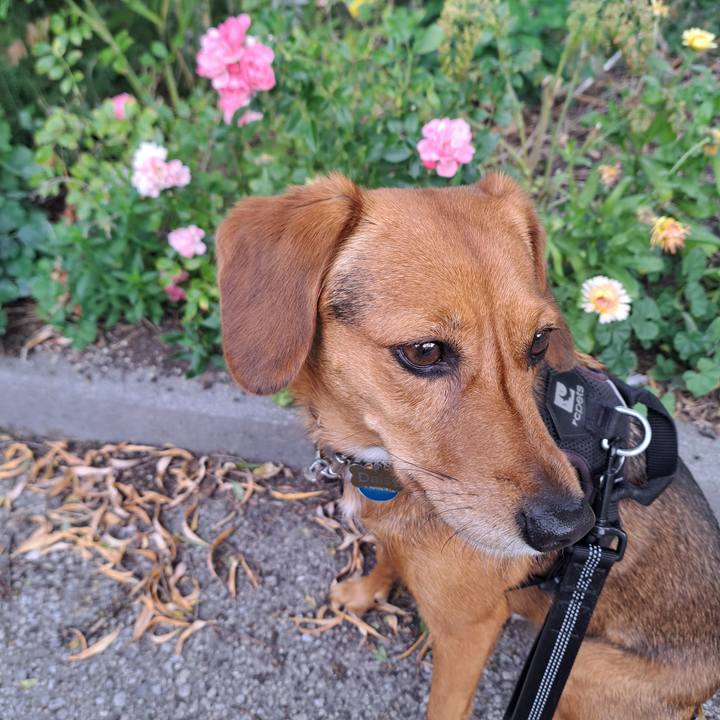 875f45f3 8d44 4efe 9cf1 5b957e71db07 1760621740040