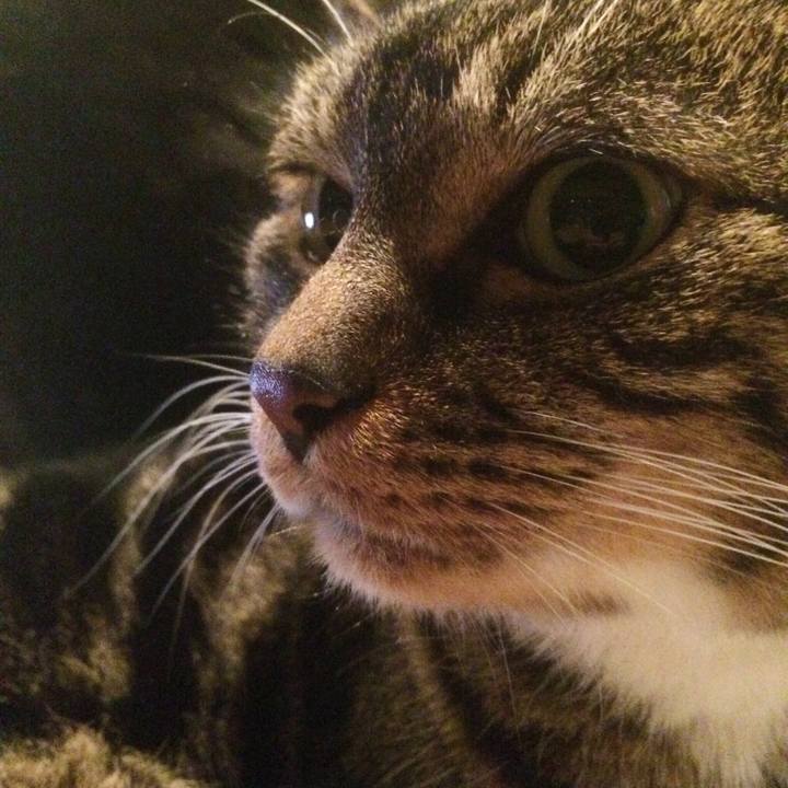 875f67d1 dd19 4150 80c3 b74a177fb3f0 1518012179781