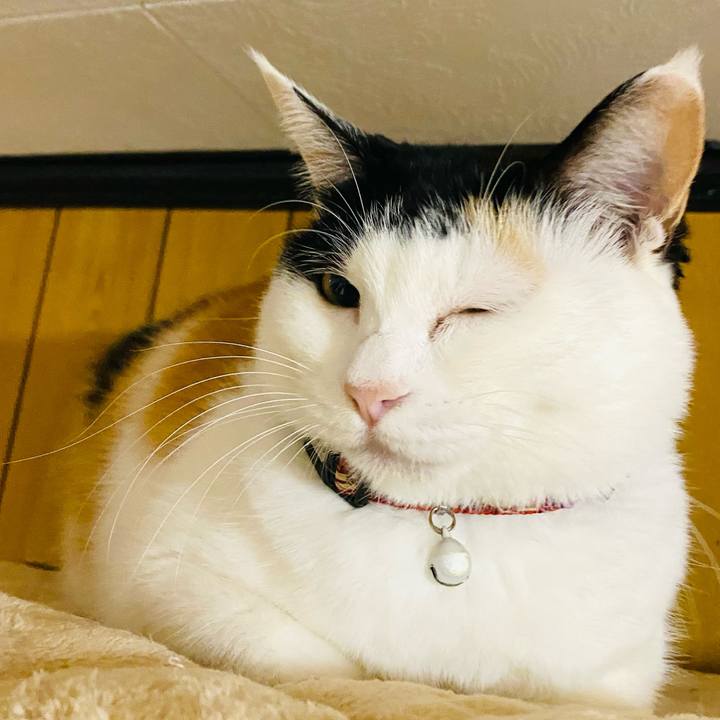 875f79ec 0eb0 4ba1 a15c f55202641b44 1668204423693