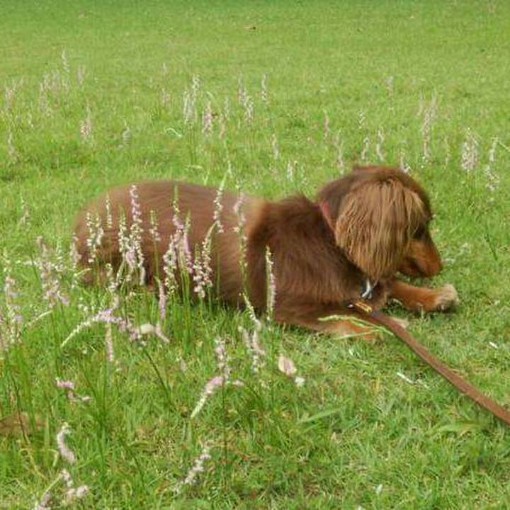 875f820f 2a3b 4c73 a537 4fa20a7249cf 1560943848090