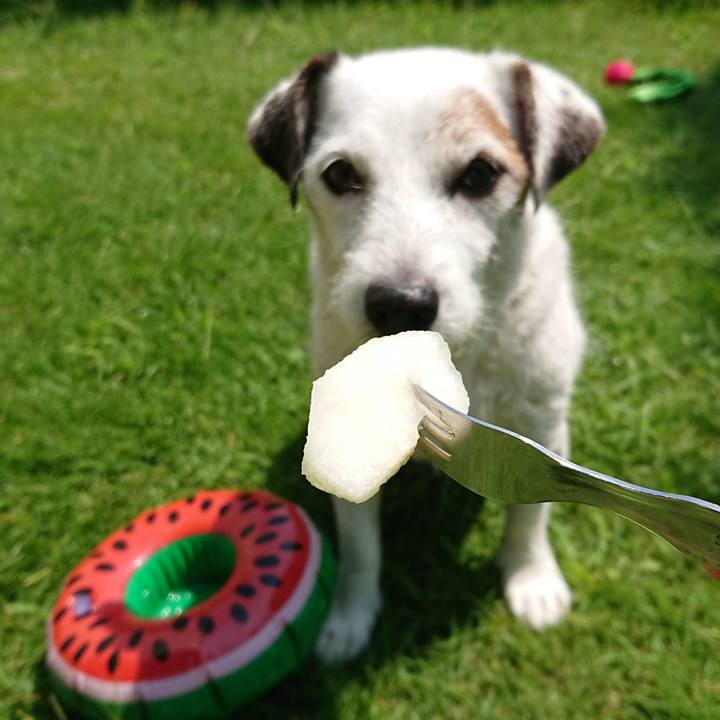 875fa6f6 9821 4684 8214 186f415859d3 1533600876059