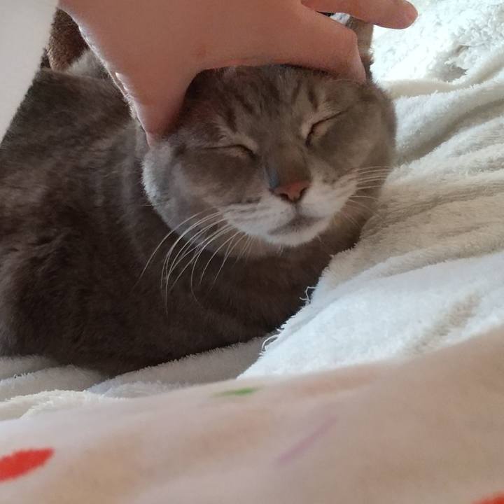 875fbd89 8073 42e4 a202 9b202fed4dba 1639961109214