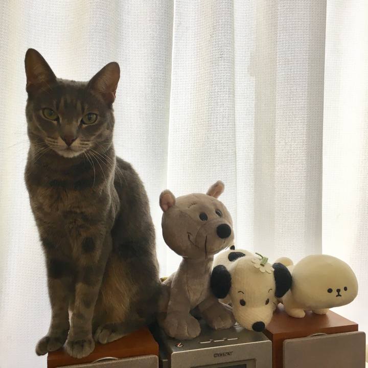 87600fcb 1a8d 4a5d a5e2 622e8b16ce49 1546645491909