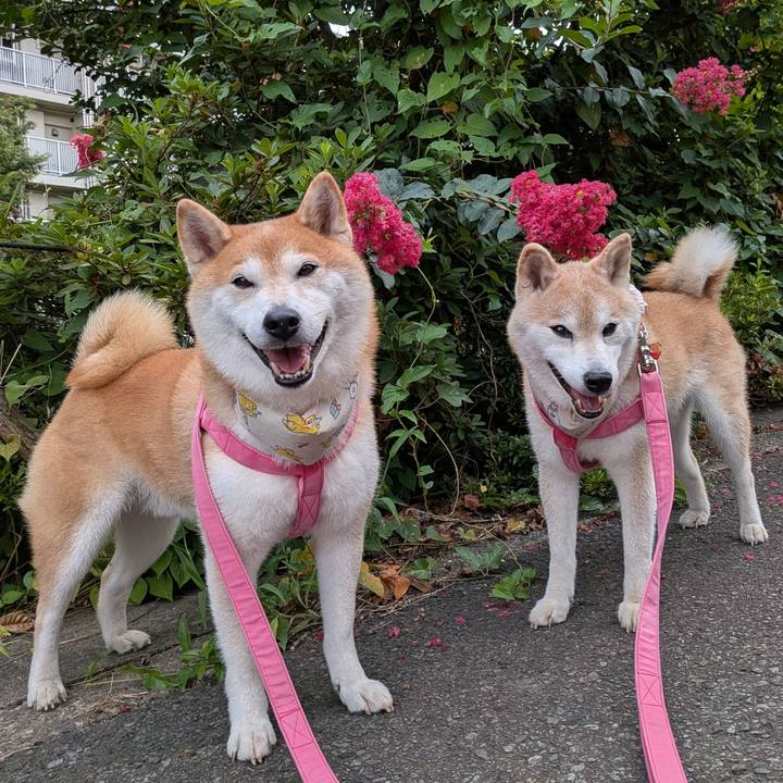 8760124c b6f5 4346 a6c3 20c6f6f510bc 1753234191810