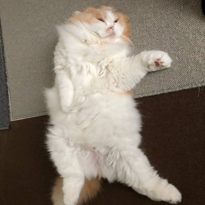 87601678 04fe 4616 b648 5df8f722a3e8 1596929056272