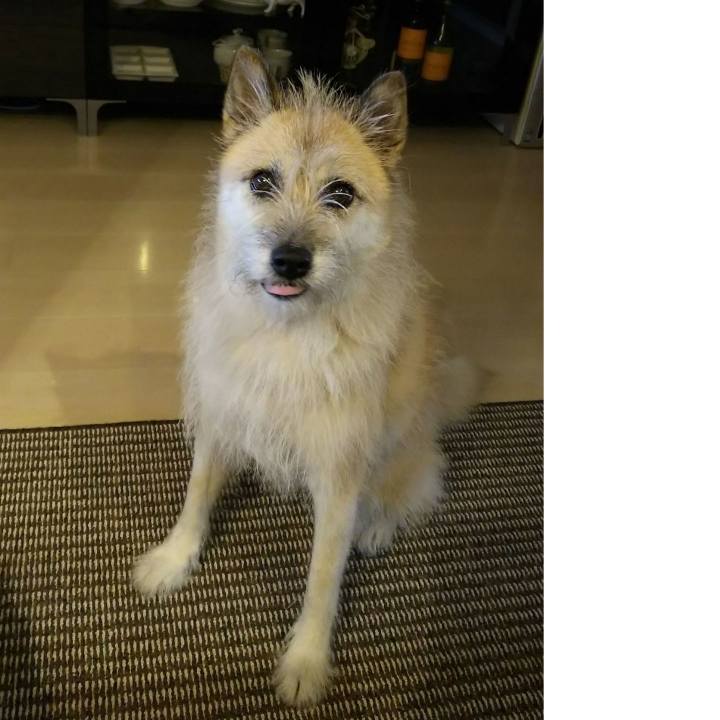 876067a1 c321 4586 ae2b 089b5643ff29 1635476225445