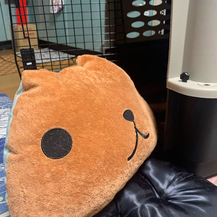 87607620 c7a8 4905 90d0 aa2173234087 1620750179746