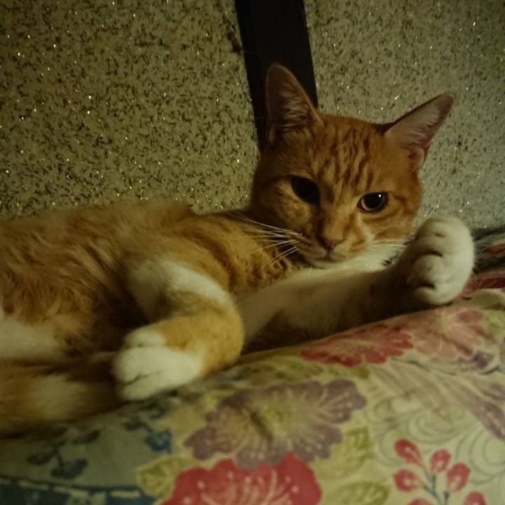 87610cb7 875f 452d 8522 ae0686077ada 1601293863789