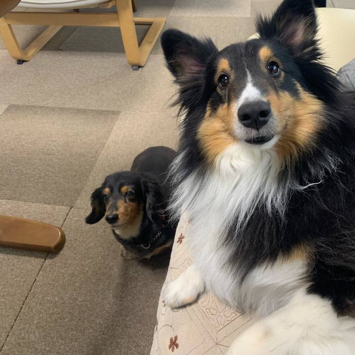 87612b58 e68c 4dc6 9764 61fbdcdddd8b 1585435717350