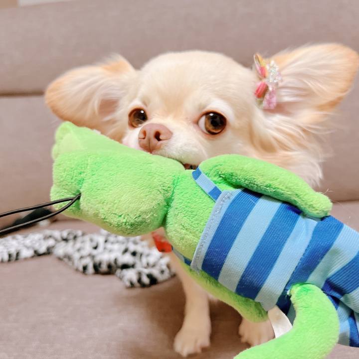 87612f23 7ba4 4f0c aec8 13ab016a9036 1665145713011