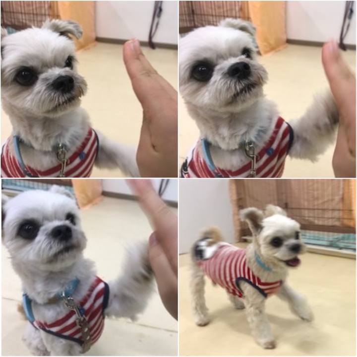 8761309c 5fc6 4a04 87bd 1a1d6c1cab90 1573820968244