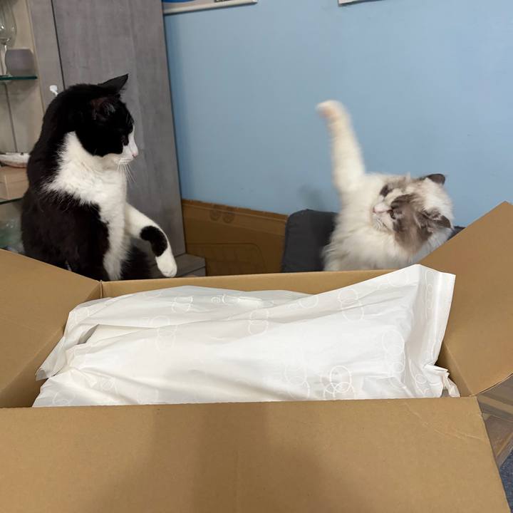 87614a5f 61ec 4051 b3b1 25bf204577a2 1765707227937