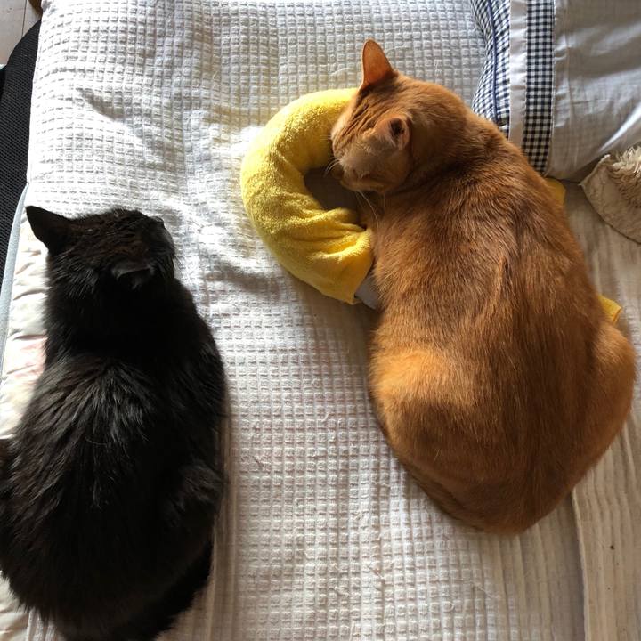 8761743b 328e 441d 9457 9565e30c02de 1600724192763