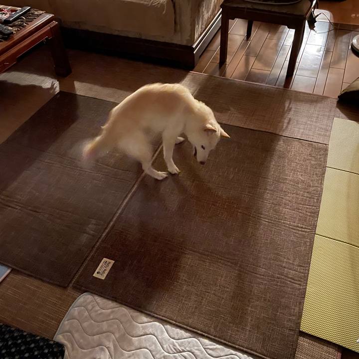 8761f1bb 40e9 4966 8165 5715db017113 1659620300900