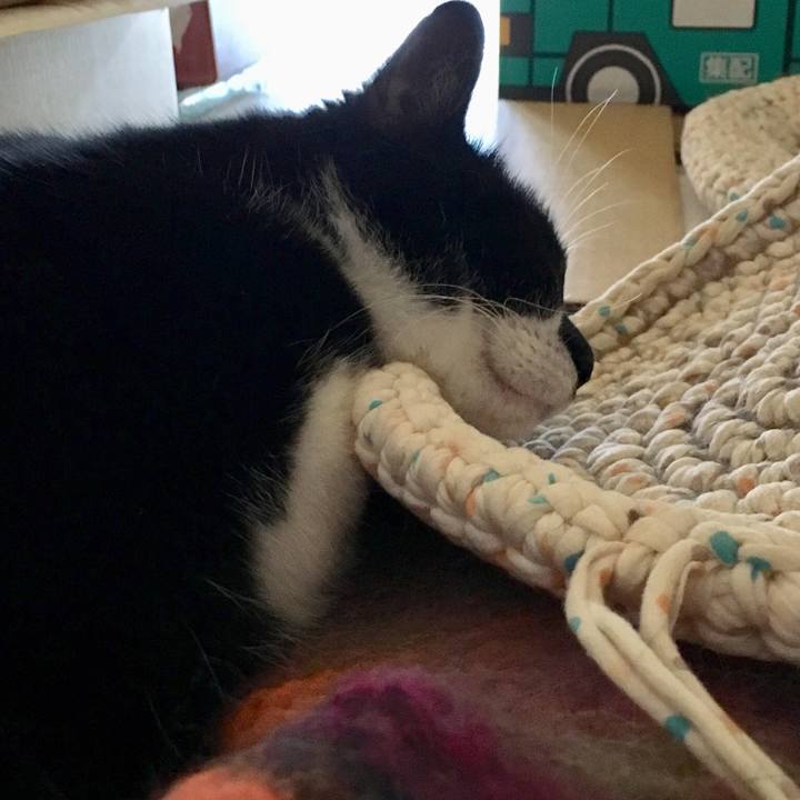 876256c6 19ab 42c0 874c 192d88b9e70d 1557721318081