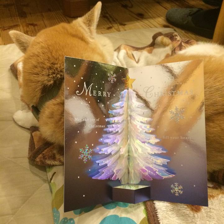 8762d413 9a27 4c1b 9c31 056dfb83e36a 1577285898143