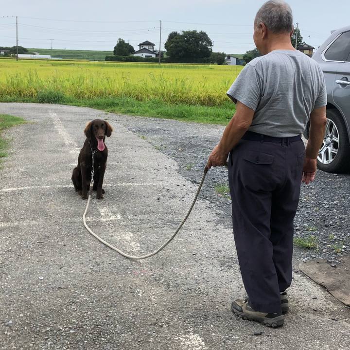 87631d6b 0fa4 4b17 9194 8d91c02a5d37 1567311270064