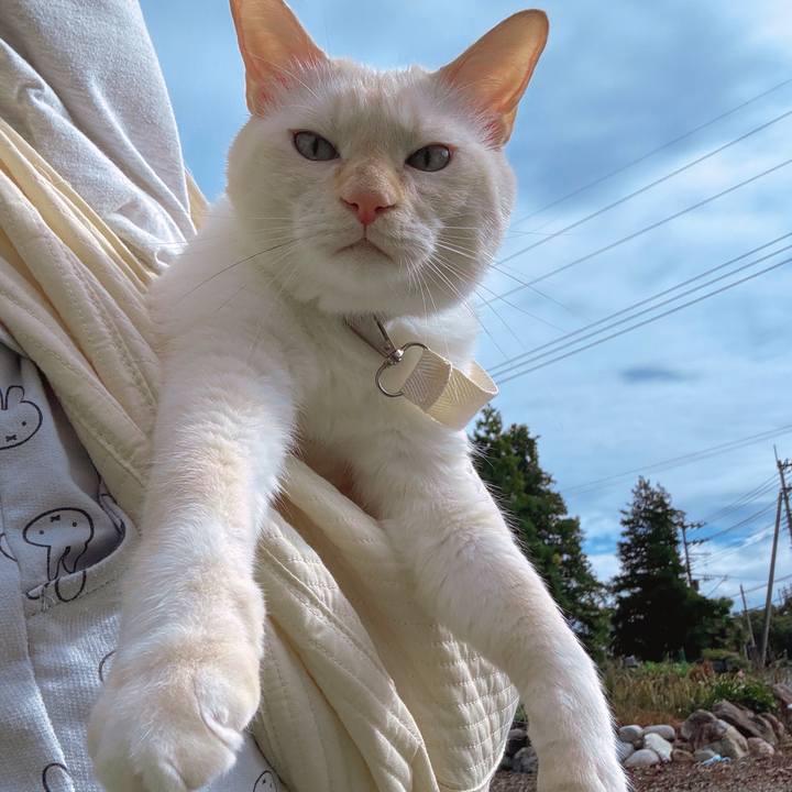 87632bd4 08ef 4886 b79a faec3de98f75 1758022391537