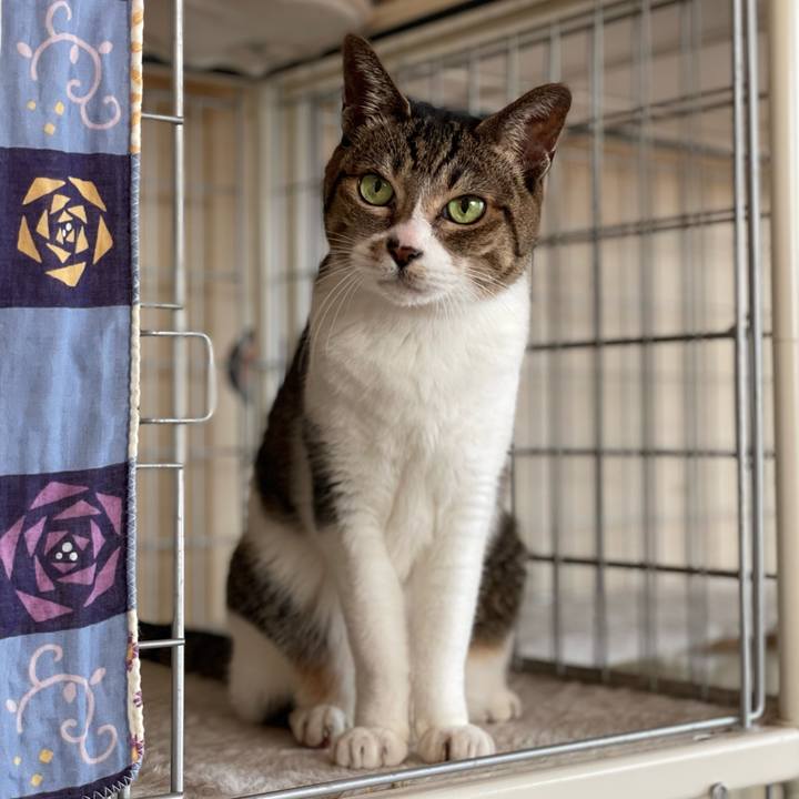 876340ed bc6c 4a75 87b5 de766b6f038a 1644200502410