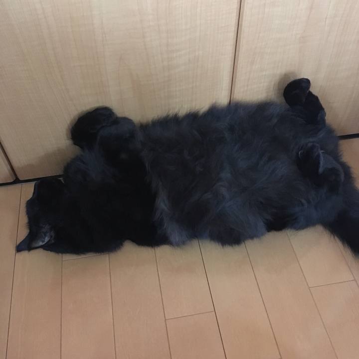 87637a8f ee0c 4e4d aa0c b7714609e647 1533947654313