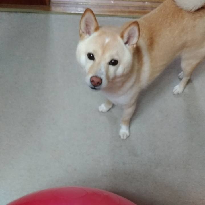 8763905a f613 41f8 9ead 3c25b9caa620 1562623612165