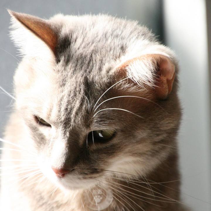 8763a151 dfd3 4911 88bc 8f036a9531ab 1548139095512