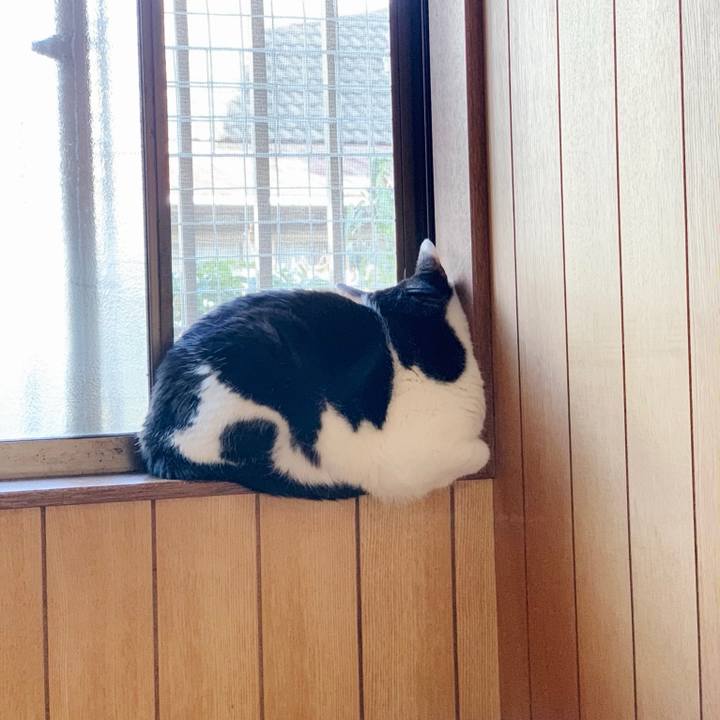 8763a8c9 b7ef 44cc b205 3041f19a450f 1551407891523